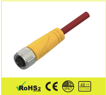 EAF4-10/CC31