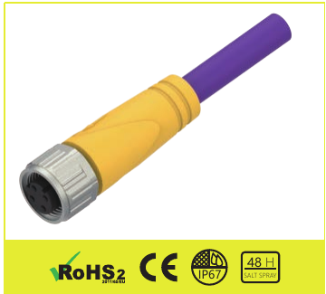 EBF5-10/DP01