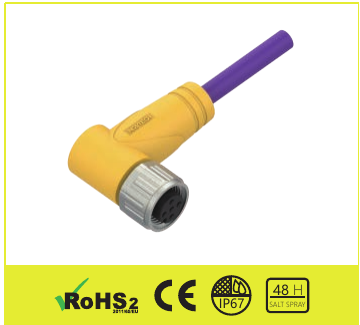 EWBF5-10/DP01
